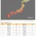 レス1番のサムネイル画像