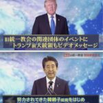 レス22番のサムネイル画像