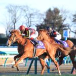 レス9番のサムネイル画像