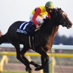 レス5番のサムネイル画像