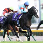 レス8番のサムネイル画像