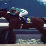 レス3番のサムネイル画像