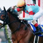 レス6番のサムネイル画像
