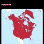 レス15番の画像1