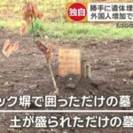 レス40番の画像1