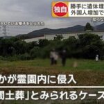 レス2番の画像4