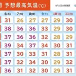 レス1番の画像5