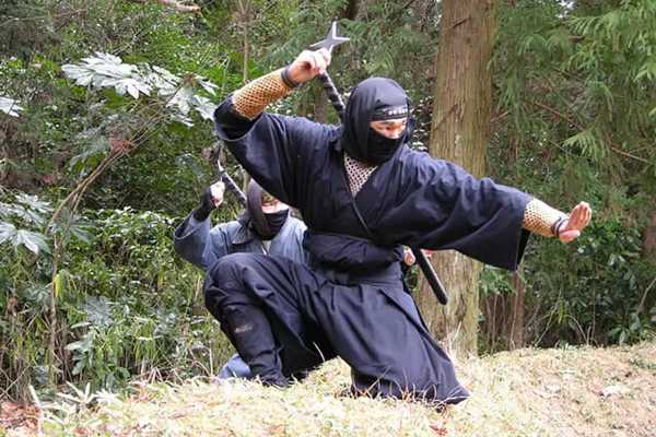 記事サムネイル