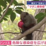 レス1番の画像6