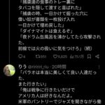 レス17番の画像1