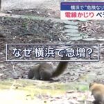 レス1番の画像7