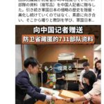 レス11番の画像4