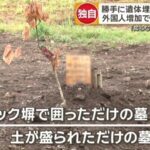 レス2番の画像3