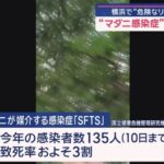 レス1番の画像10