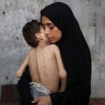 レス32番の画像5