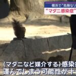 レス1番の画像9