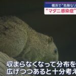 レス1番の画像8