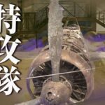 レス3番のリンク先のサムネイル画像