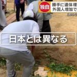 レス2番の画像1