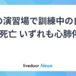 レス1番のリンク先のサムネイル画像
