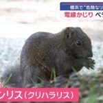 レス1番の画像3