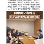 レス11番の画像3