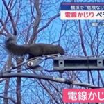 レス1番の画像5