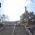 レス14番の画像2