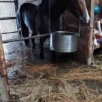 レス3番の画像4