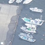 レス1番のリンク先のサムネイル画像