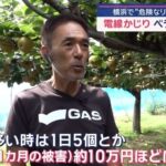 レス1番の画像2