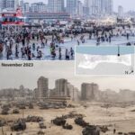 レス23番の画像1