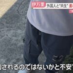 レス1番のリンク先のサムネイル画像