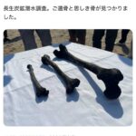 レス1番の画像3