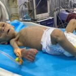 レス32番の画像4