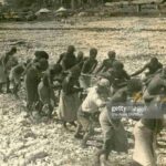 レス8番の画像1