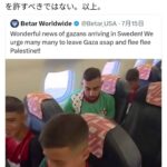 レス8番の画像3