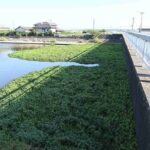 レス2番の画像8