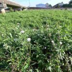 レス2番の画像7