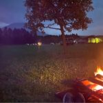 レス10番の画像1