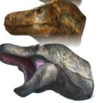 レス30番の画像1