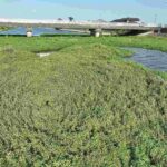 レス2番の画像2