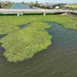 レス2番の画像5