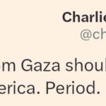 レス42番の画像2