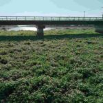 レス2番の画像4