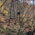 レス133番の画像1