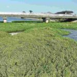 レス2番の画像1