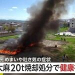 レス13番のリンク先のサムネイル画像