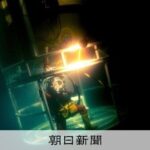 レス1番のリンク先のサムネイル画像