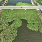 レス2番の画像6